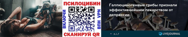 Галлюциногенные грибы Psilocybe  наркота  Мариинский Посад 
