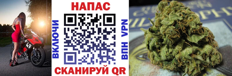наркошоп  Мариинский Посад  сайты даркнета формула  Каннабис план 